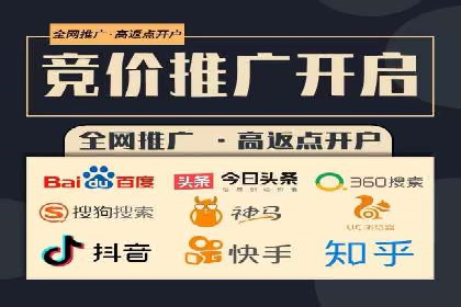 百度SEO推广公司案例精选：揭秘优化策略